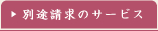 別途請求のサービス